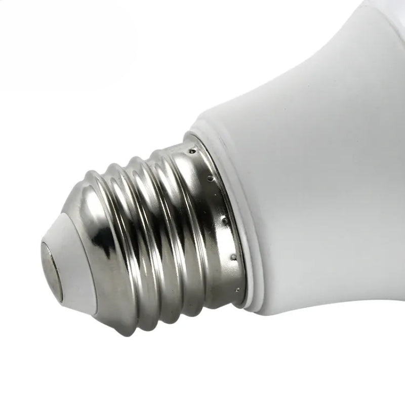 Bright Indoor LED Light Bulb