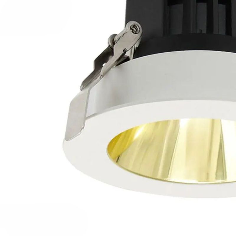 Adjustable Changeable LED Downlights