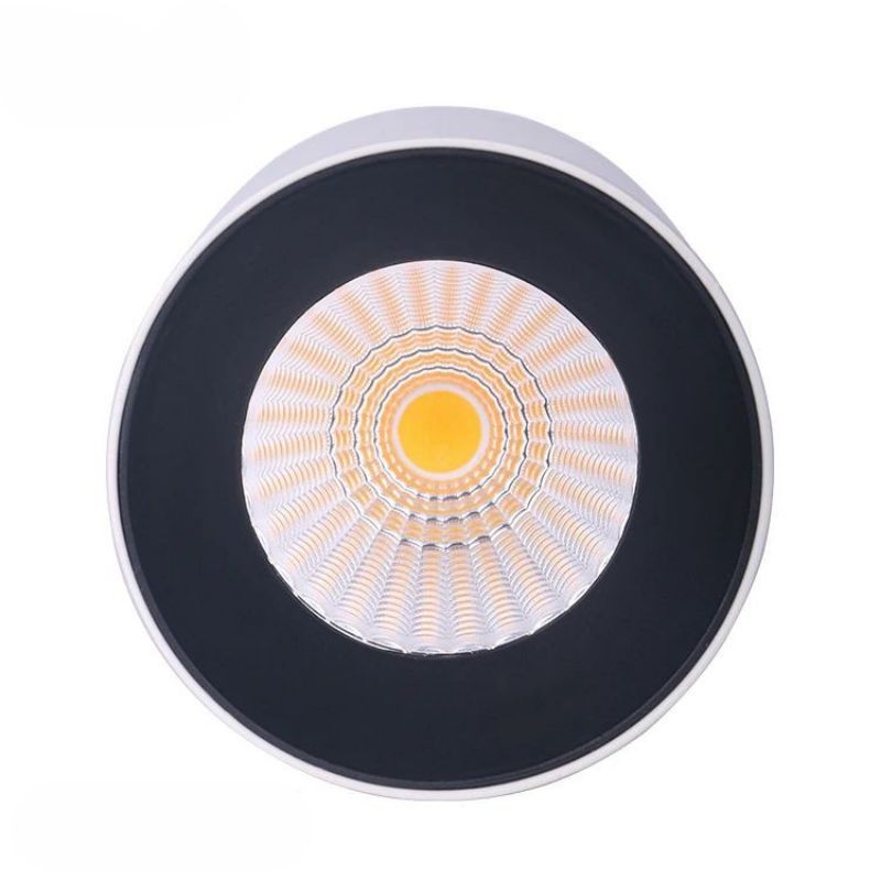 Adjustable Round Cob LED Downlight
