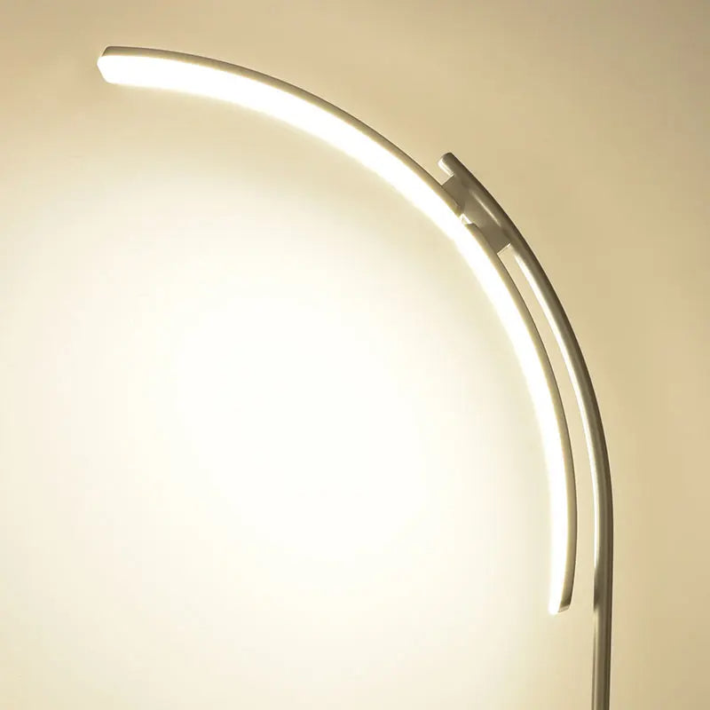 Curved Tube Design Floor Lamp