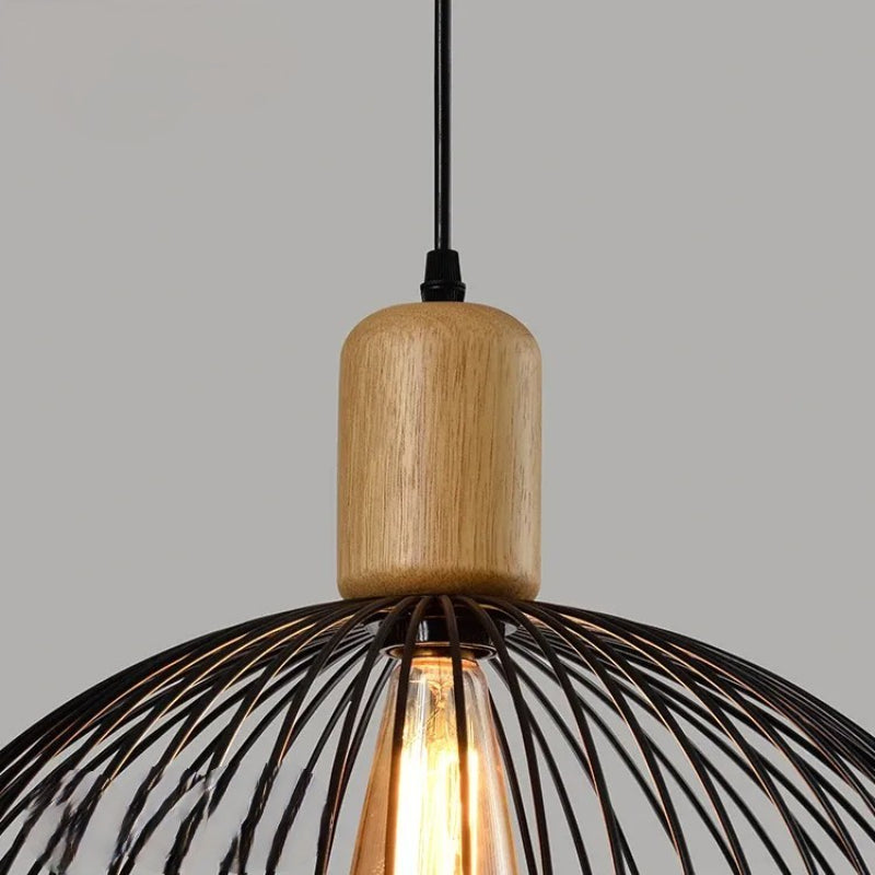 Elegant Pendant Lamp Light