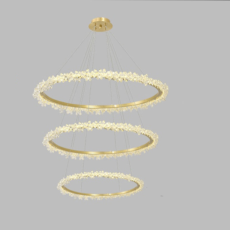 Modern Designer Ring Indoor Decor Pendant Lights