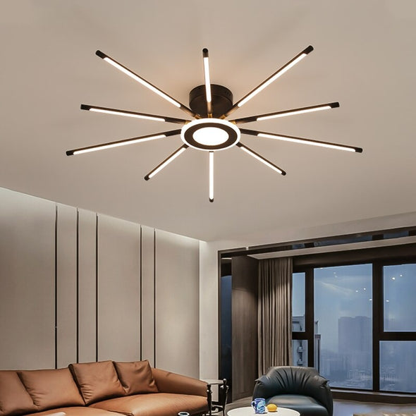 LED Atmosphere Indoor Decor Ceiling Lamp With Remote