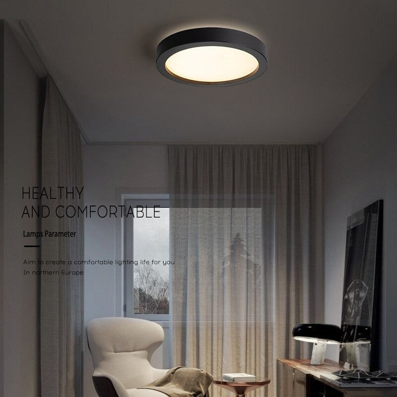 Modern Simple Indoor Decor LED Ceiling Lamps