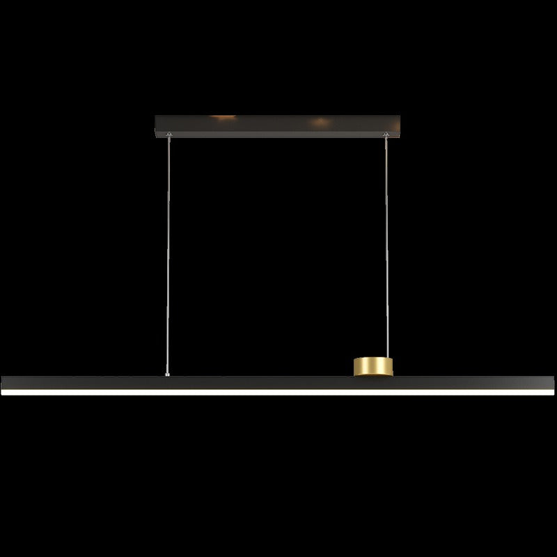 Simple LED Indoor Decorative Long Pendant Lights